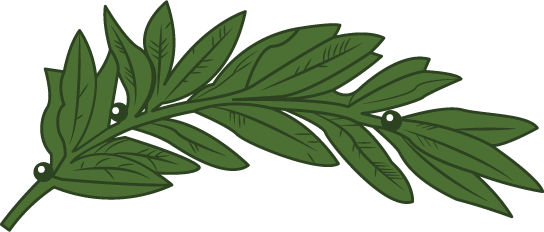 People's Party logo