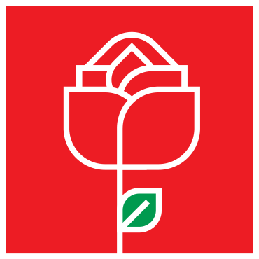Movement of Democratic Socialists logo