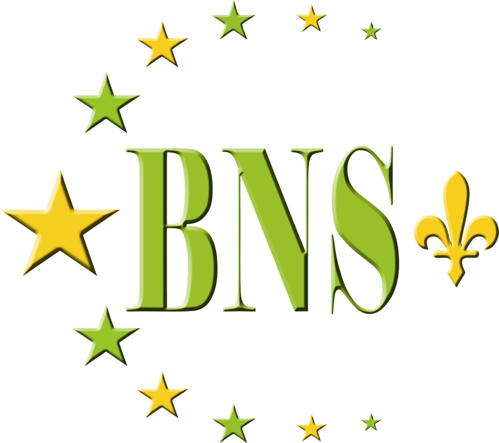 Bosniak People's Party logo