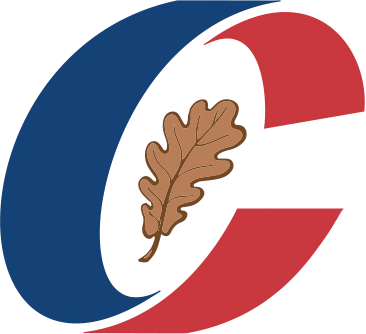 Independent Democratic Party of Serbia logo